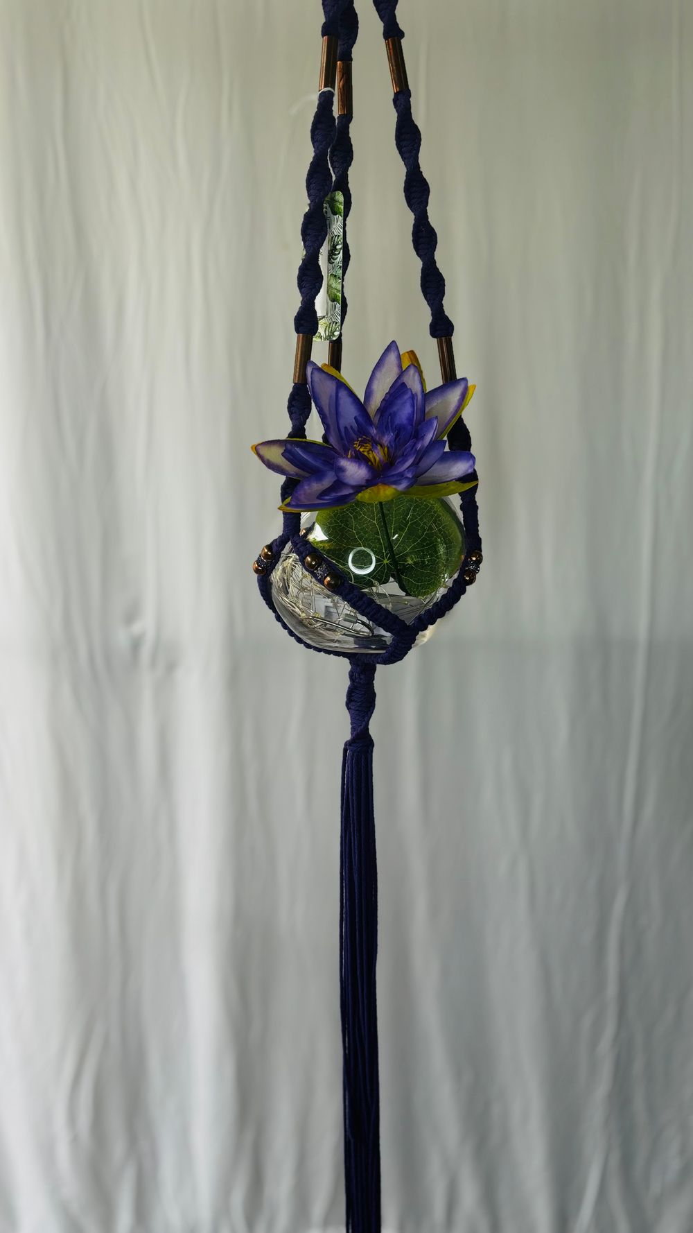 Copper Tanga ( Royal purple) 