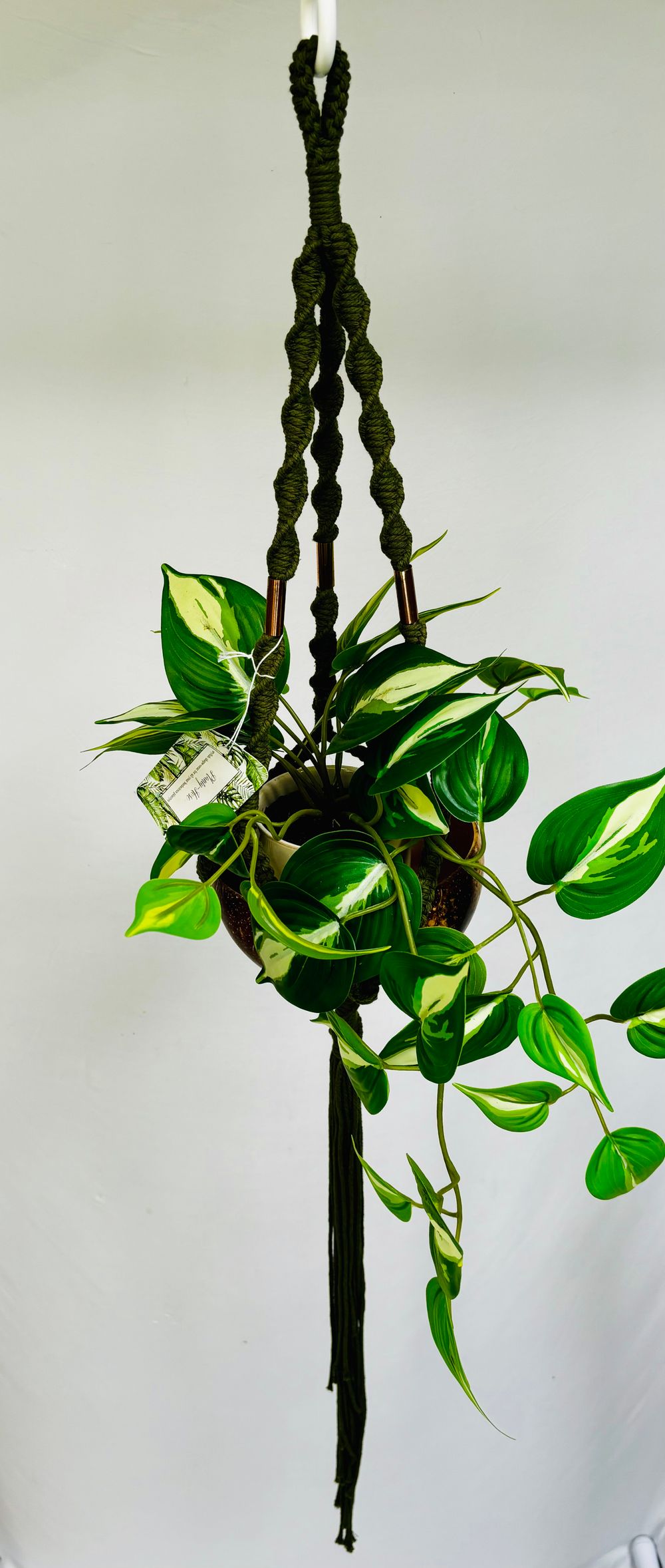 Olive green and copper tanga 